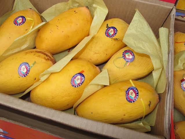 Fresh mango from Pakistan